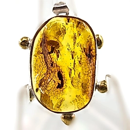 SİNEK FOSİLLİ BALTIK DAMLA KEHRİBAR KOLYE