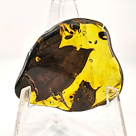 YAPRAK FOSİLLİ ÇOK ÜST DÜZEY KEHRİBAR