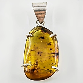 SİNEK FOSİLLİ NATÜREL KEHRİBAR KOLYE