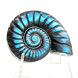 DOĞAL TAŞ - LABRADORİT AMMONİT CARVİNG