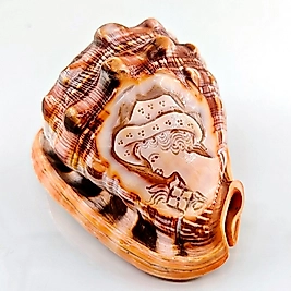 VİKTORİA DÖNEMİ GÖVDE KISMI OYMA İŞÇİLİĞİ CAMEO DENİZ KABUĞU OBJE