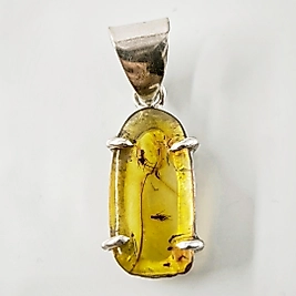 SİNEK FOSİLLİ NATÜREL KEHRİBAR KOLYE